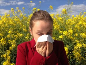 Allergy 1738191 1920 allergies pollen