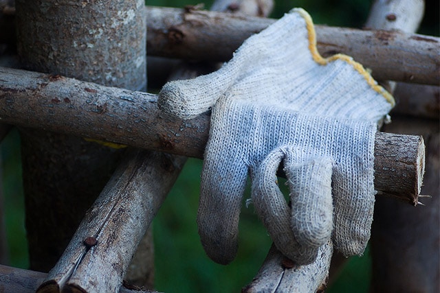 Gants gants-jardin