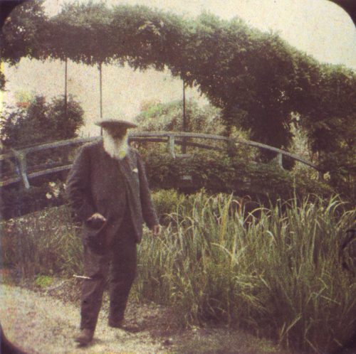 monet-pont-lilly