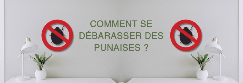 Article Se Debarrasser Des Punaises 820x280