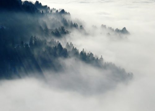 brouillard