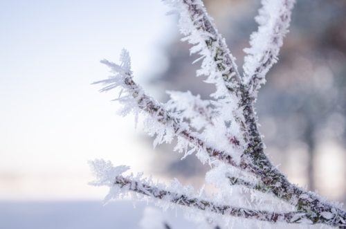 vent froid