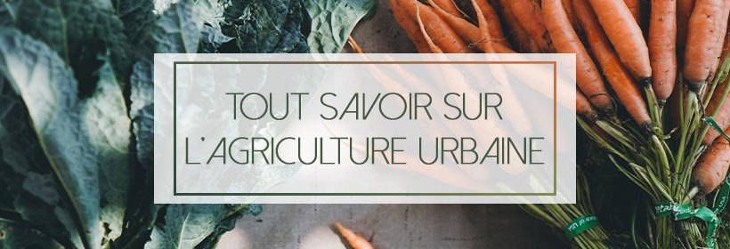 Agriculture urbaine