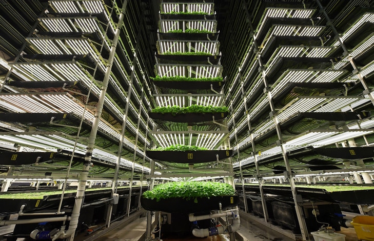 Ferme verticale