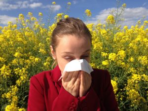 allergies pollen