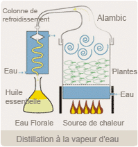 Distillation à La Vapeur D'eau