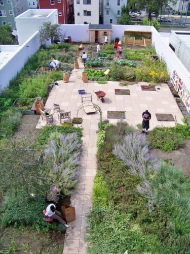 Jardins partagés - Urbanisation verte