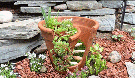 Mini jardin plantes grasses réalisé dans un pot de fleur fendu