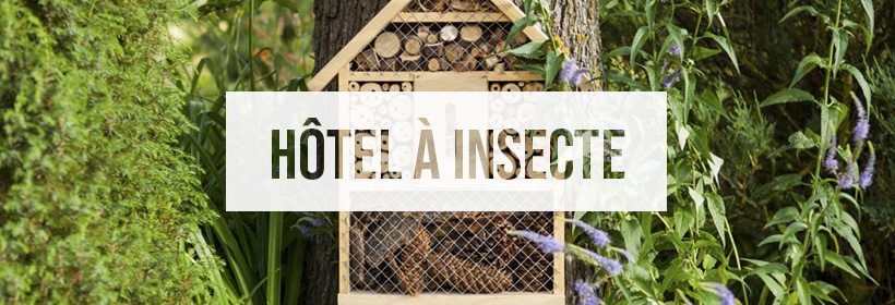 Hotel A Insecte