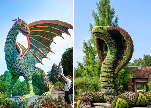 Dragon- Alanta Botanical garden