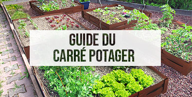 Guide Du Carré Potager
