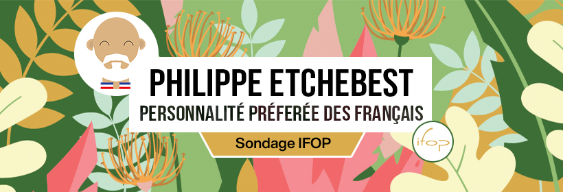 Bandeau Sondage IFOP Philippe Etchebest