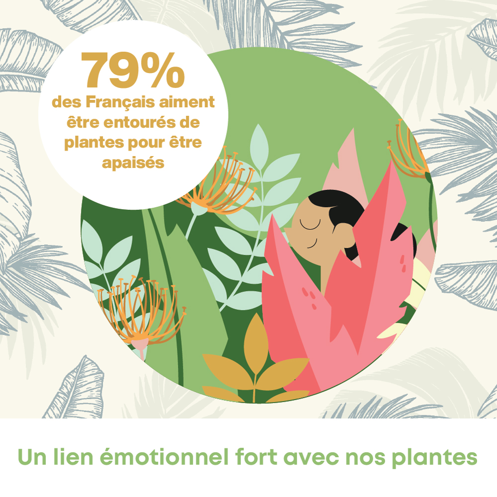 Sondage Ifop : Les Plantes Apaisent 79% des français