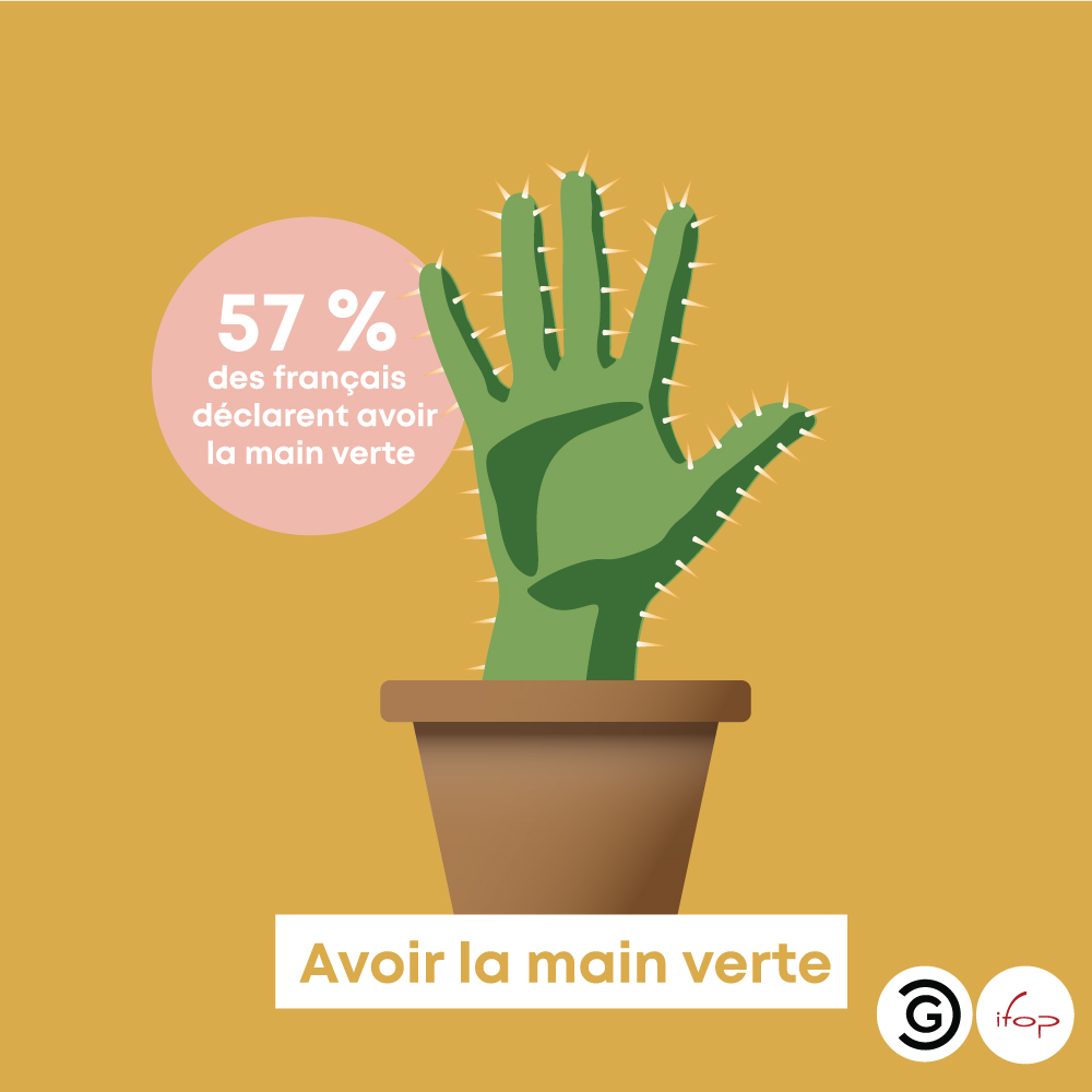 Sondage : 57% des français déclarent avoir la main verte