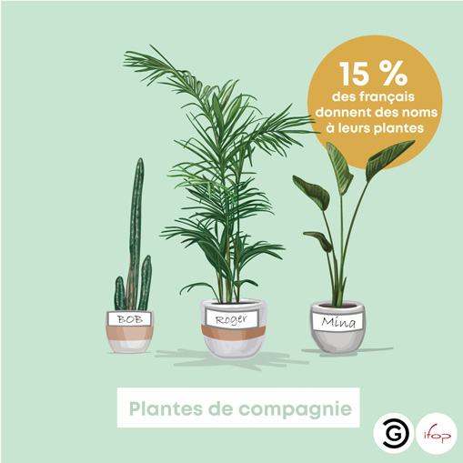Sondage : 15% des français donnent un nom à leurs plantes.