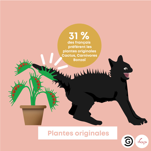 Sondage : 31% des Français préfèrent les plantes originales