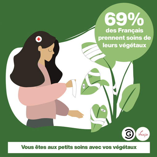 Sondage : Les français prennent soin de leurs plantes