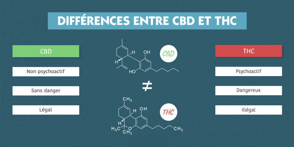 Différence entre le THC et le CBD