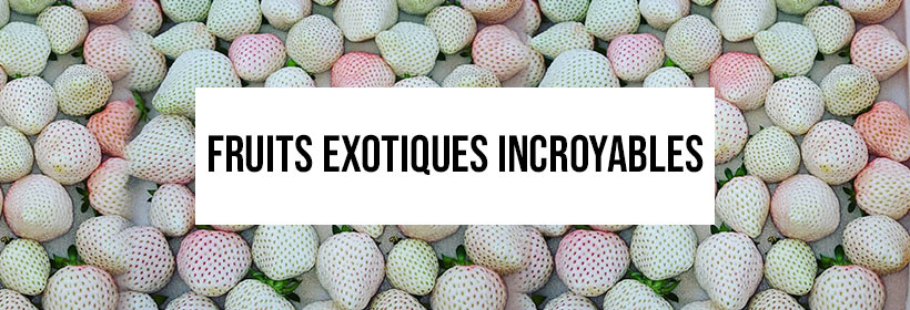 BLOG : fruits exotiques incroyable
