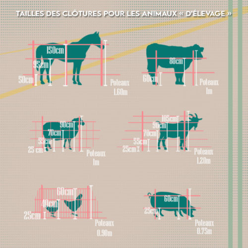 Tailles des clôtures pour les animaux d'élevage : cheval, vache, mouton, brebis, poule, cochon