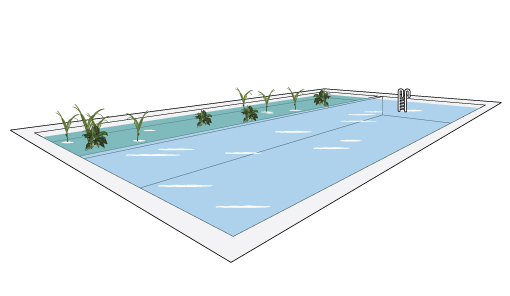 Type de piscine - illustration d'une piscine biologique