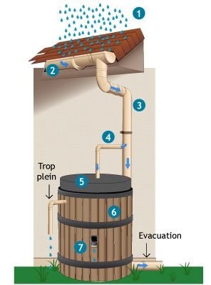Schéma du fonctionnement d'un récupérateur d'eau de pluie
