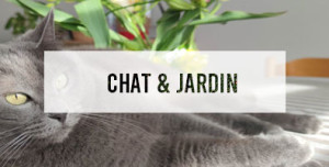 Article aménagement du jardin pour un chat