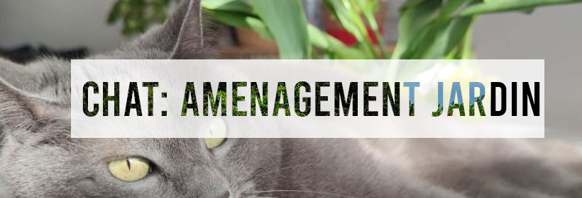 bandeau article sur l'aménagement du jardin pour un chat