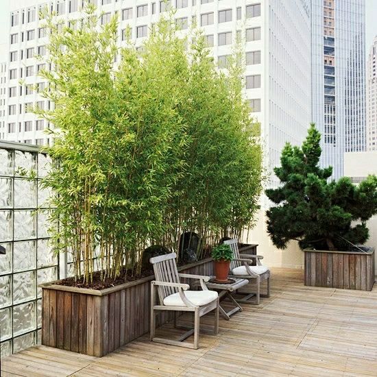 Jardinière de bambou en pot sur un balcon