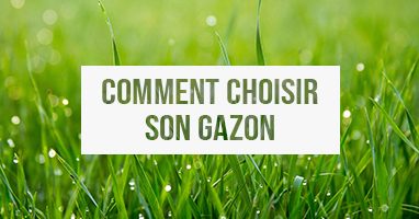 Comment choisir son gazon ?