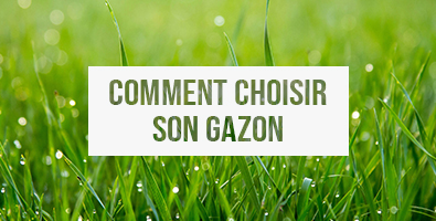 Vignette principale de l'article "Comment choisir son gazon" du blog Bien au Jardin