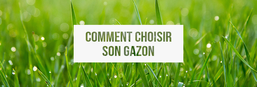 Vignette principale de l'article "Comment choisir son gazon" du blog Bien au Jardin