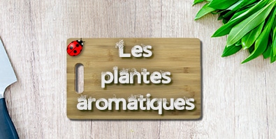 Plantes Aromatiques 395x200