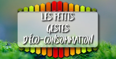 Geste Eco Petit Format