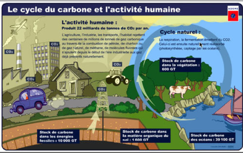 Cycle carbone et activité humaine