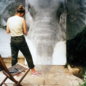 Art et grillage à poule - Waterloo elephant