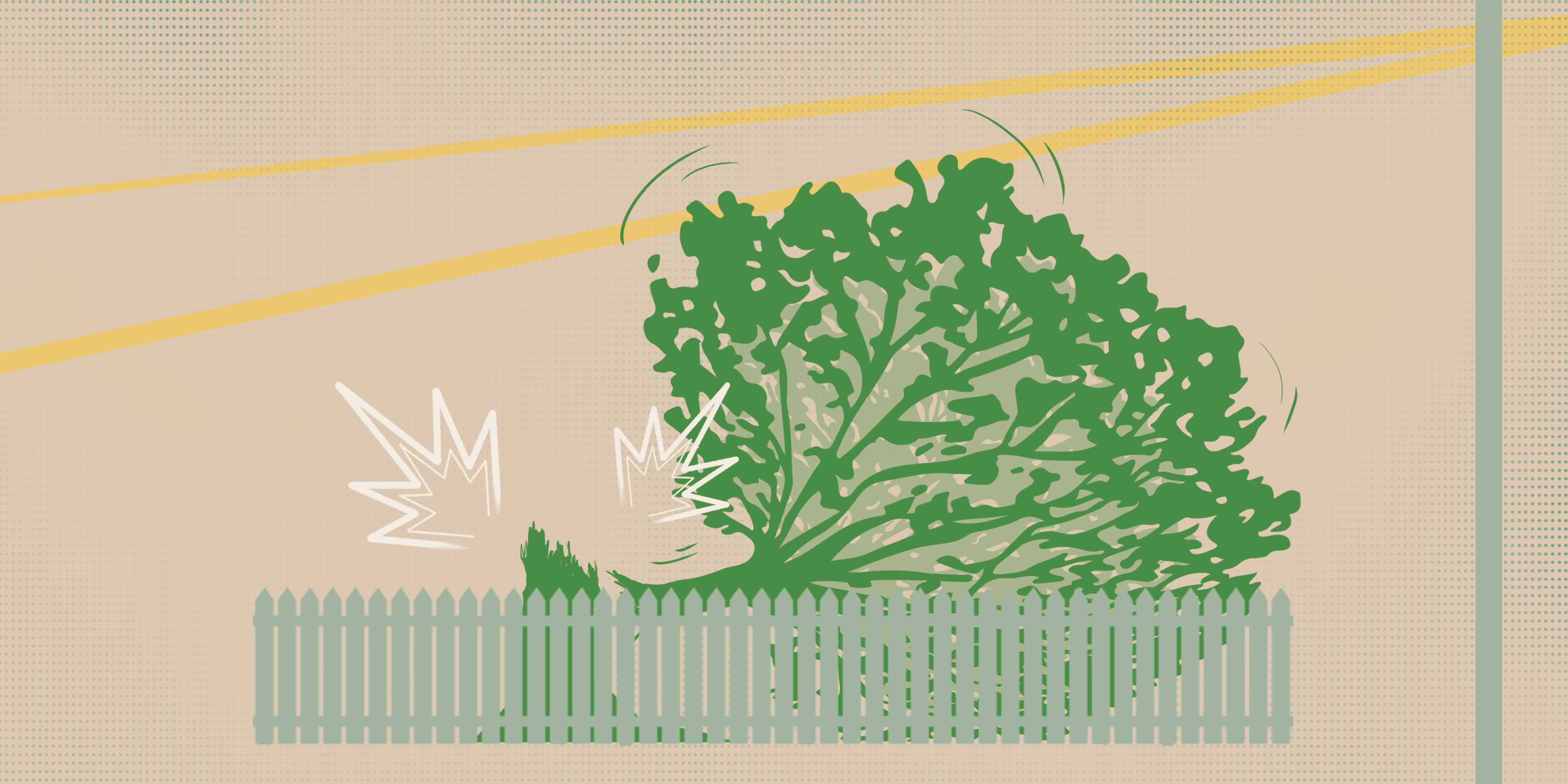 Illustration d'un arbre qui tombe sur une clôture