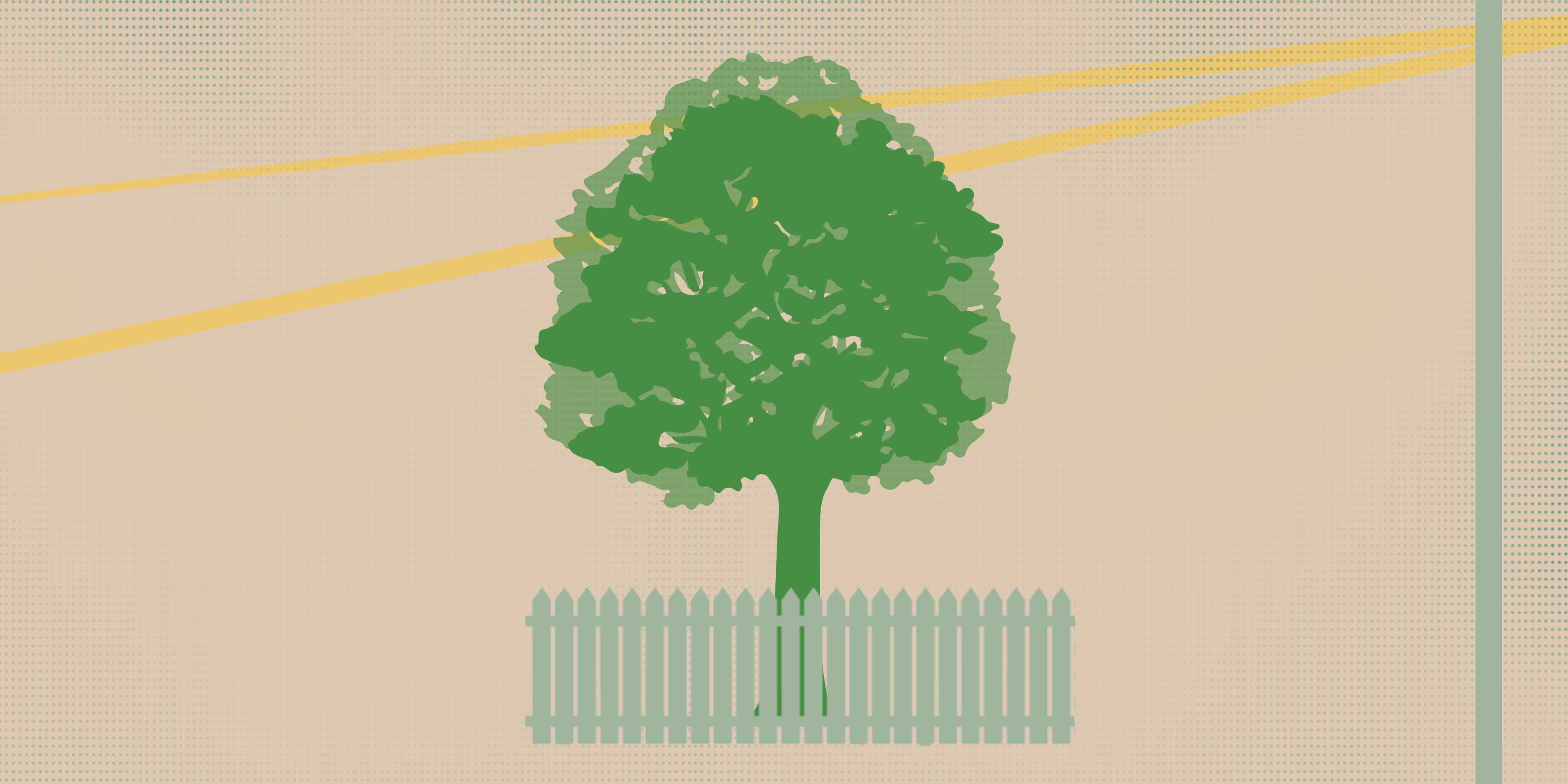 Illustration d'un arbre et d'une clôture