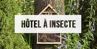 Hôtel à Insecte