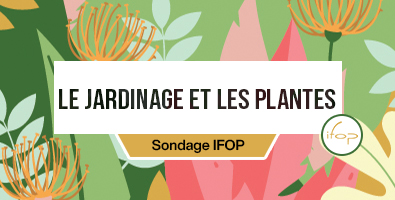 Bandeau : les français et leur rapport aux plantes