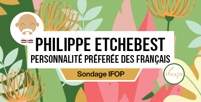 Bandeau Sondage IFOP Philippe Etchebest