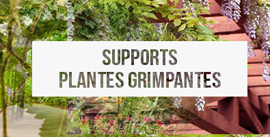 Bandeau titre : "Supports pour plantes grimpantes"