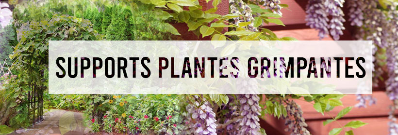Bandeau titre : "support plantes grimpantes"