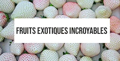 BLOG : fruits exotiques incroyable fraise blanche