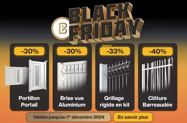 Promotion Black Friday