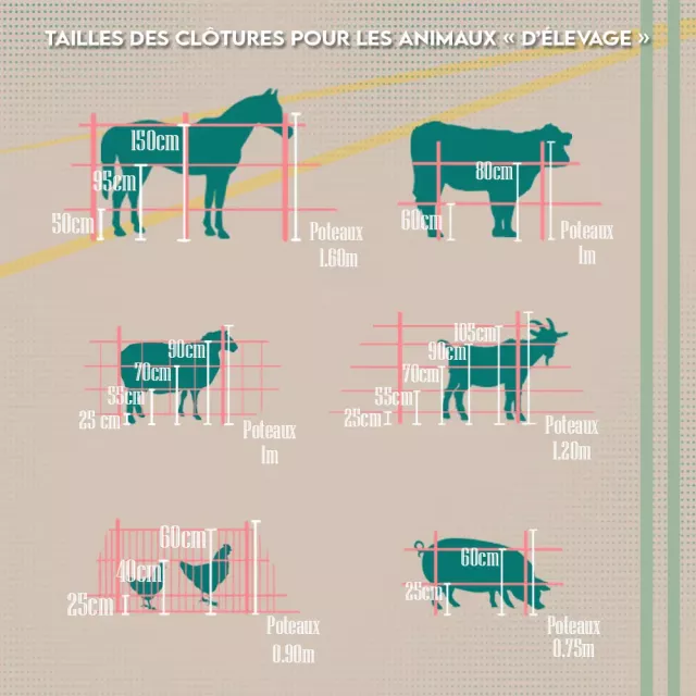 Grillage rigide - Illustration de la taille des animaux d'élevage