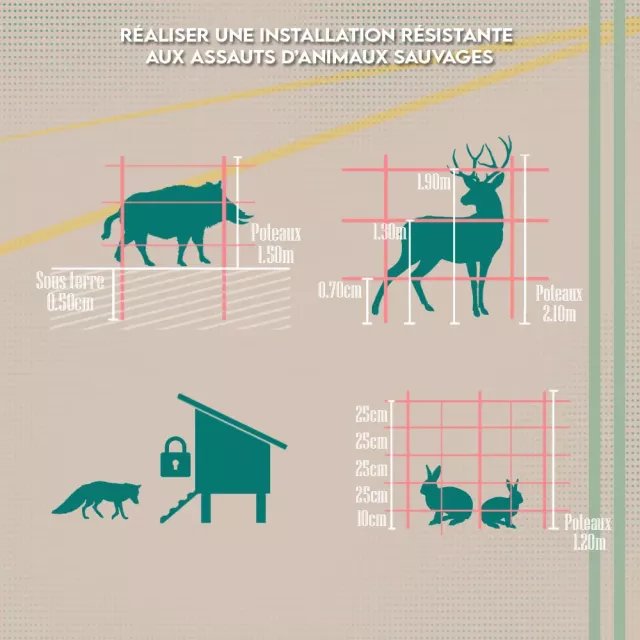 Grillage rigide : Illustration de la taille des animaux sauvages