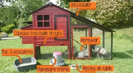 Grillage souple : Aménagement d'un poulailler