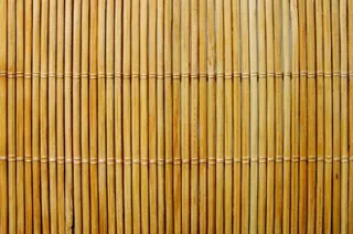 Brise vue : Le bambou pour plus d'intimité au naturel