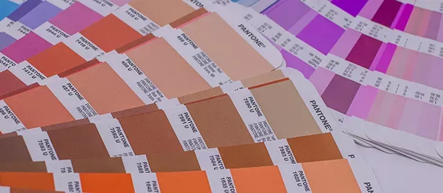 Grillage : Quelle couleur choisir ?